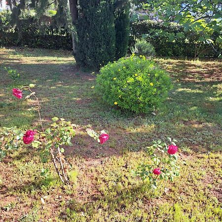 Apartment Elinor 2 Ρόβινι Εξωτερικό φωτογραφία