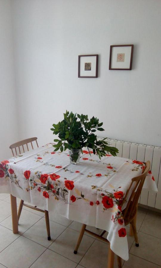 Apartment Elinor 2 Ρόβινι Εξωτερικό φωτογραφία