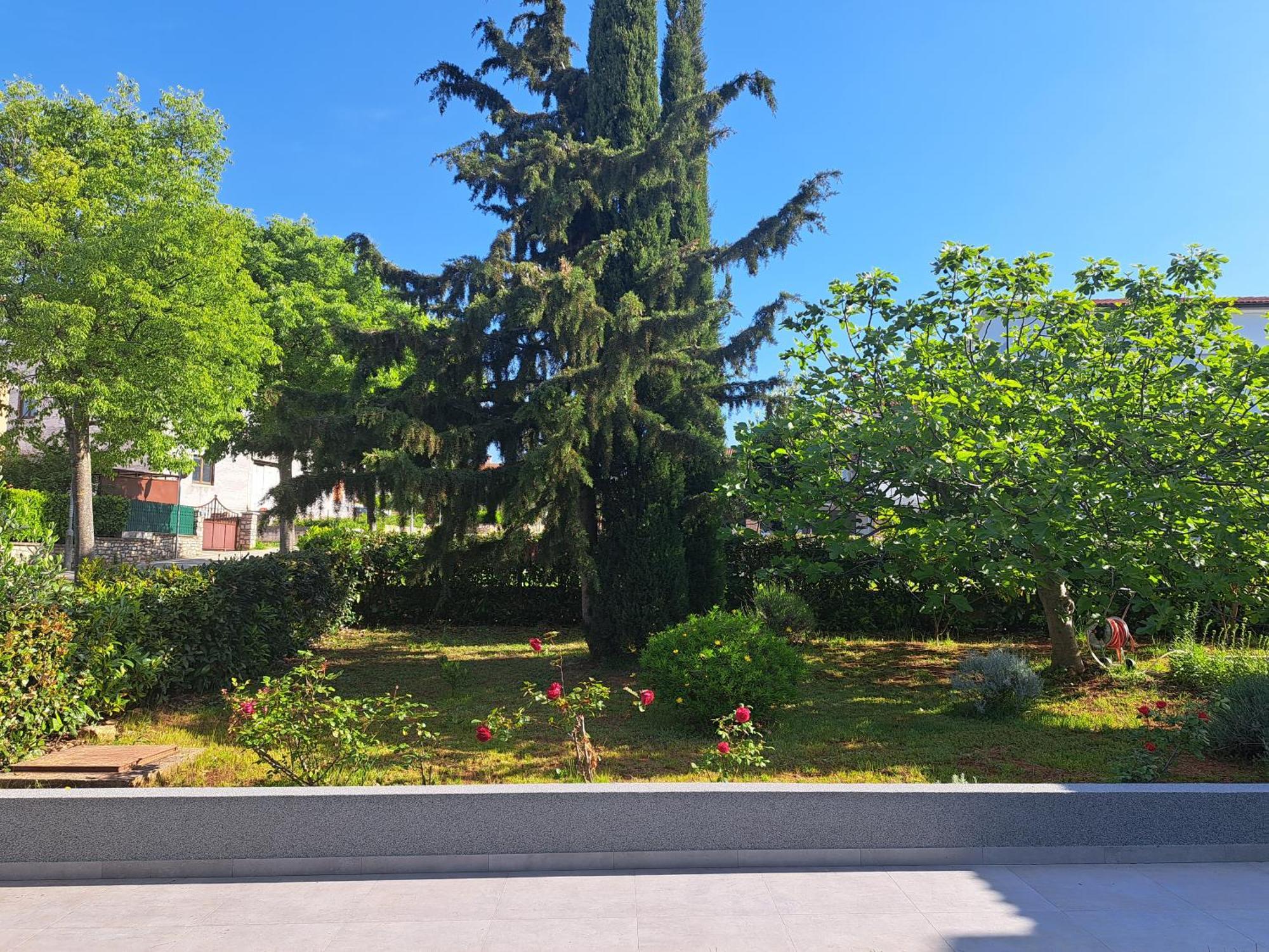 Apartment Elinor 2 Ρόβινι Εξωτερικό φωτογραφία