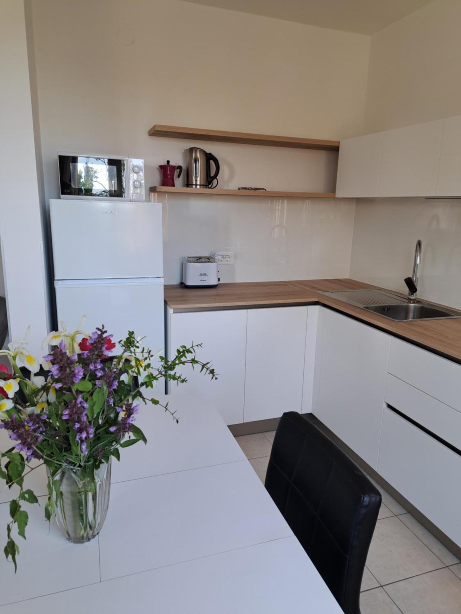 Apartment Elinor 2 Ρόβινι Εξωτερικό φωτογραφία